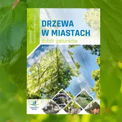 Drzewa na osiedle: Które gatunki wybrać? Praktyczny poradnik