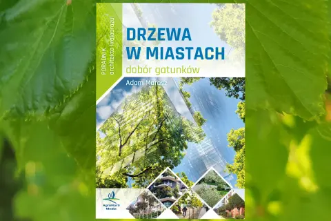 Drzewa na osiedle: Które gatunki wybrać? Praktyczny poradnik