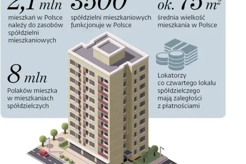 Kto wybiera prezesa spółdzielni? Poznaj zasady i swój wpływ