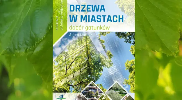 Drzewa na osiedle: Które gatunki wybrać? Praktyczny poradnik