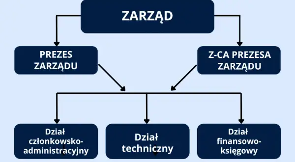 Kto kontroluje prezesa spółdzielni? Hierarchia władzy
