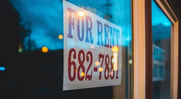 Szyld "FOR RENT" na szybie, z numerem telefonu. Ktoś szuka okazji do wynajmu lub najmu.