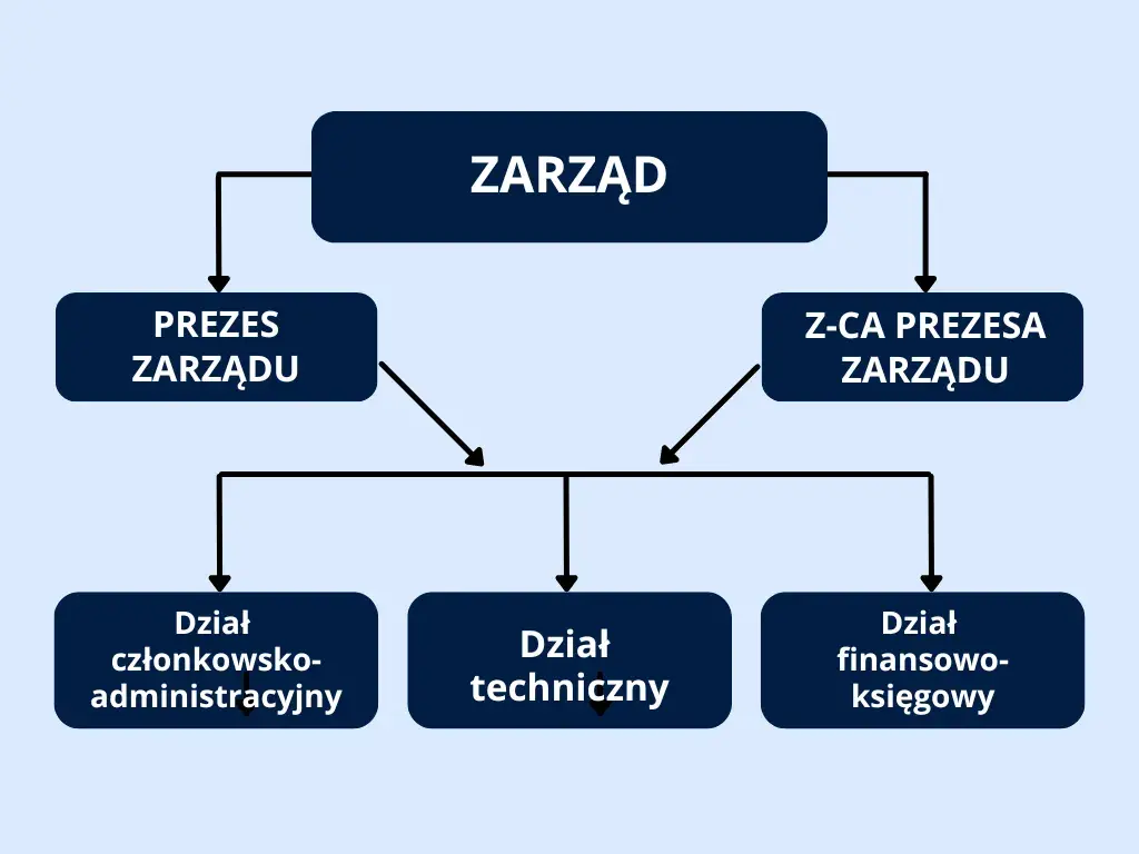 Kto kontroluje prezesa spółdzielni? Hierarchia władzy