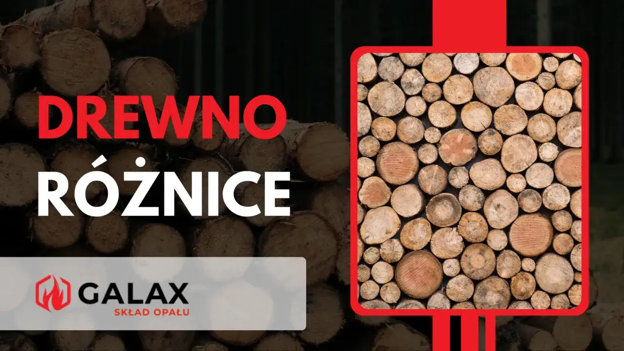 Drewno różnice. Dowiedz się, jakim drewnem palić w kominku, aby uzyskać optymalne ciepło i czysty płomień. Stos drewna w tle.